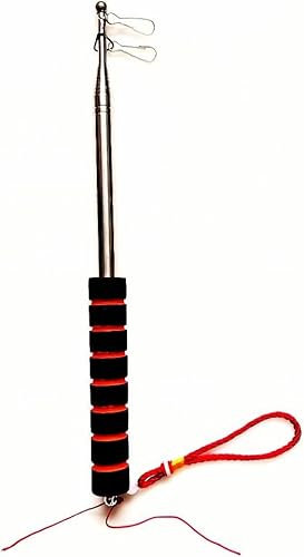 Pandiui23 Asta di bandiera 3 metri,Asta di bandiera telescopica,Bandiera a mano in acciaio inossidabile,Asta telescoastapico asta bandiers (3 metri, 2 pezzi)