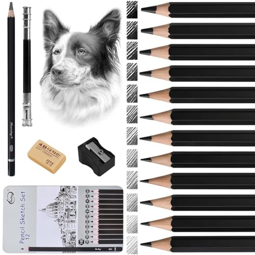 Eclove Skizzenstifte Set Anfänger, 12 Teiliges Zeichenstifte Set Bleistifte 4H 2H H HB B 2B 4B 6B 8B 10B 12B 14B, mit Spitzer, Radiergummi und Stiftverlängerung, Zeichenstifte Professionell