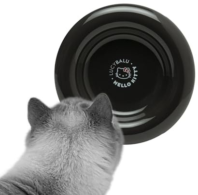 LucyBalu X Hello Kitty Drop Katzennapf aus Porzellan | erhöhter Katzen Futternapf | Wassernapf für Katzen | Porzellan Fressnapf erhöht | Trinknapf Katze | ergonomischer Katzenfutter Napf | Schwarz