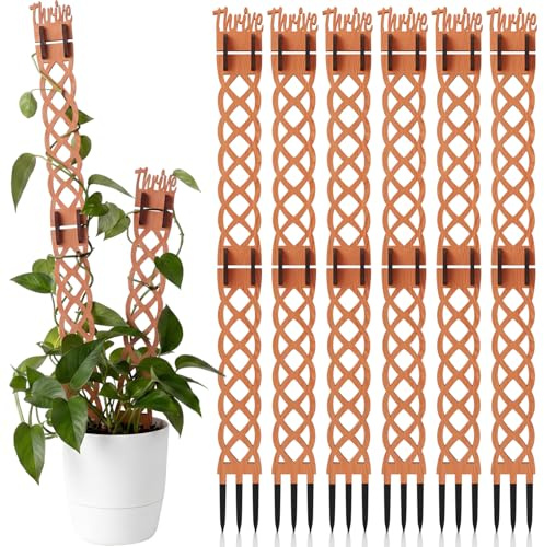 Otoolling Lot de 6 treillis extensibles en bois pour plantes d'intérieur avec panneau de prospérité en bois décoratif et extensions pour plantes d'intérieur et plantes grimpantes, vignes, tiges de