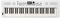 Roland GO:KEYS 5 Music Creation Keyboard | 61-Note Keyboard | ZEN-Core Engine with Over 1000 Onboard Sounds | Built-In Stereo Speakers | Mic Input | Bluetooth Audio/MIDI Support, White