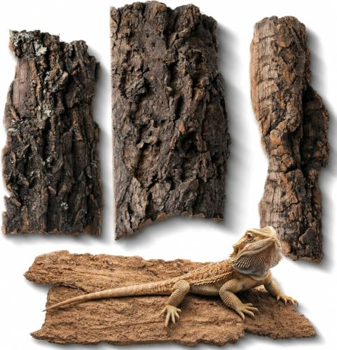 BESPORTBLE Cork Bark Flats 4 Pack, Natural Reptile Hide & Vivarium Decor, Tree Bark Pieces for Leopard Gecko, Snake, Tortoise Table Accessories, 8-14 cm Enclosure Decor (Random Shape)