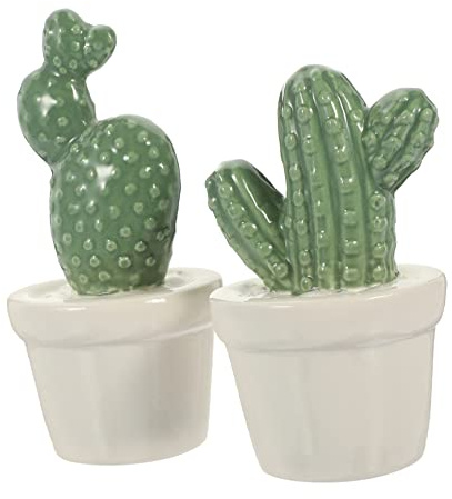 Abaodam India in Ceramica 2 Pezzi Statuetta Cactus Decorativa in Porcellana Dettagli Vividi per Decorazioni Casa e Camera da Letto