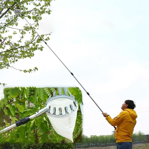 griffe de jardin pince telescopique Cueilleur D'arbres Fruitiers Avec Perche Et Panier, 2,5 3 4 5 6 M De Haut Cueilleur De Fruits Ajustable Outils De Cueillette Et De Ramassage Des Fruits Pour Légumes