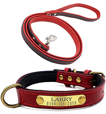 Weich Gepolstertes Hundehalsbänder und Leine Personalisierte Leder mit Namen und Telefonnummer Rot Welpen Halsband für Kleine Mittlere Große Hunde XL 3 cm Breit Verstellbar 46-56 cm