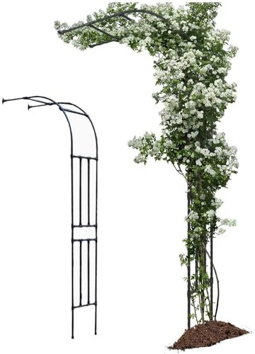 Halber Rosenbogen Gartenbogen Für Kletterpflanzen Metall Torbogen Rankhilfe, Halber Garten-Pergola Spalier Gegen Die Wand Geeignet Für Jede Art Von Rankpflanzen(Schwarz,W 180 x H 240 cm)