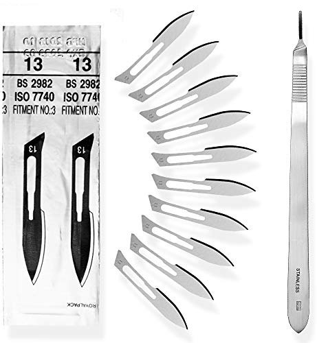 Set - 10 Stück Skalpellklingen Figur 13 aus Karbonstahl - Ersatzklingen einzeln steril verpackt + 1x May - Skalpell-Halter mit 20 cm langem und gebogenen Griff - Edelstahl | Abgewinkeltes Präzisionsmesser für Modellbau. Ideal für schwer zugängliche Stellen.
