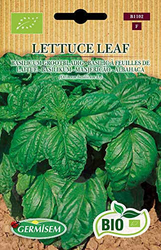 Germisem Biologico Lettuce Leaf Semi di Basilico 2 g