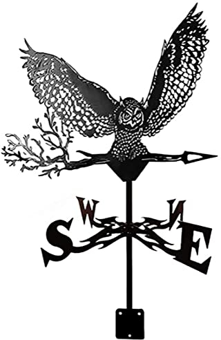 CAZARU Wetterfahne aus Metall mit Adler Ornament Wetterfahne Windrichtungsanzeiger Gartenpflock Professionelles Messwerkzeug Einfach zu montierende Gartenmetallkunstdekorationen