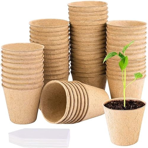 BFGLLY 50 Pcs 6cm Fibre Plant Pots, Biodegradable Seed Pots, Round Seedling Pots with 20 Plant Labels for Growing Vegetables, Fruit, Herb, Flower