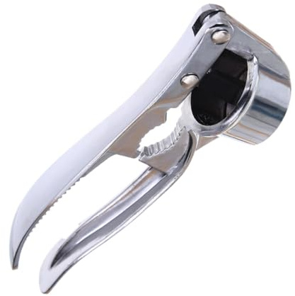Alipis Pressa Comoda Aglio Acciaio Manuale in Inossidabile da e Argento, Facile Lavare da Riporre, Utensile Preparare Cucina per Fresco