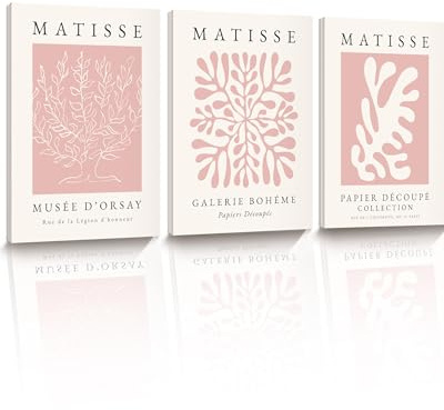 HesenDot Matisse Pink Framed Wall Art,30x40CM Abstract Prints Wall Decor,Boho Posters Wrapped Canvas Wood Frame,Aesthetic Home Decoration for Living Room Bedroom Bathroom Office,Set of 3