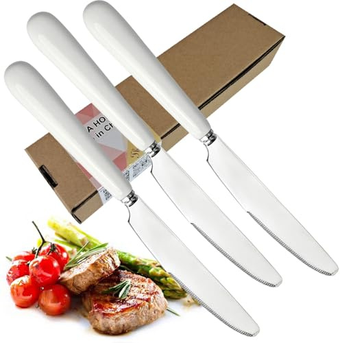MEIYAHOME Hochwertig Hauptessenmesser Essmesser,Steakmesser,weißer Keramikgriff,S42000 Edelstahlklinge, Tischmesser, Hotelgeschirr,Spiegelpolieren 22cm (Steakmesser 3-Stück)