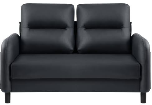 55 Loveseat Sofa, 2-Seater Sofa for Bedroom, Sofa Couch with Wooden Legs
