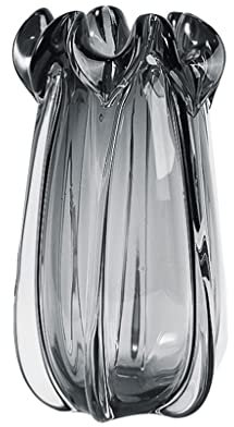 MJMLUCK Wohnzimmervase Nordische kreative Glasvase Home transparente Hydrokulturvase dekorative Vase Wohnzimmer Desktop-Ornamente Vase Hydrokulturvase (SI
