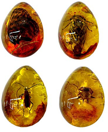 Qing Hui bärnsten fossil med insekter prover stenar harts bärnsten fjäril insekt sten vackert hänge halsband baltisk bärnsten (slumpmässigt mönster)