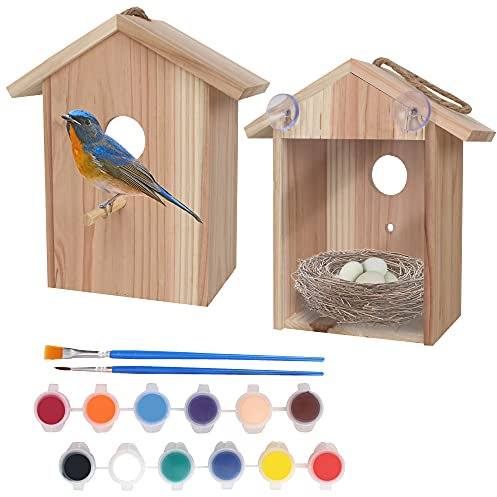 Casa de pájaros con ventana con kit de pintura para ventana, casa de pájaros espía con fuertes ventosas, casa de pájaros transparente para niños, casa de pájaros My Spy Clear Birdhouse, nido de