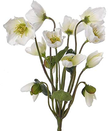 artplants.de Rosa di Natale Finto Halla su Stelo, Bianco, 30cm, Ø7cm - Elleboro Nero - Rosa di Natale Finta