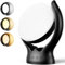 Wopigh Tageslichtlampe 10000 Lux, Tageslichtleuchte ohne UV,Sonnenlicht Lampe mit 3 Farbtemperaturen, 4 Minuten und 5 Intensitäten einstellbaren Leuchtlichtern und Memory-Funktion
