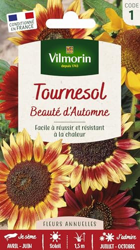 VILMORIN Tournesol beauté d'Automne Vilmorin série 1