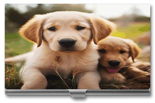 NHYDSPQ Visitenkartenhalter/-etui, niedlicher Golden Retriever-Welpen-Aufdruck, Metall-Visitenkartenetui für Männer und Frauen
