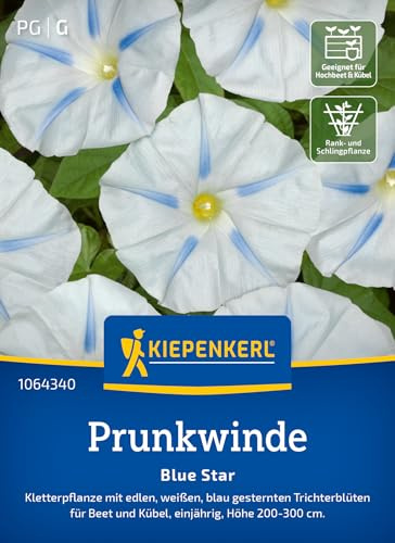 Kiepenkerl Prunkwindensamen Blue Star 1064340, Blumensaat | Einjährige Kletterpflanze mit edlen, blau gesternten Trichterblüten, für Beet & Kübel