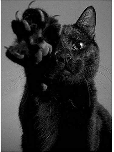 AYSUNJIE Puzzel Für Erwachsenen Puzzle 1000 Teile Kind Puzzles Aus Holz-Schwarze Katze-Geschenk Wohnkultur Modern Festival DIY Geschenk Intellektuelles Spiel 75X50Cm