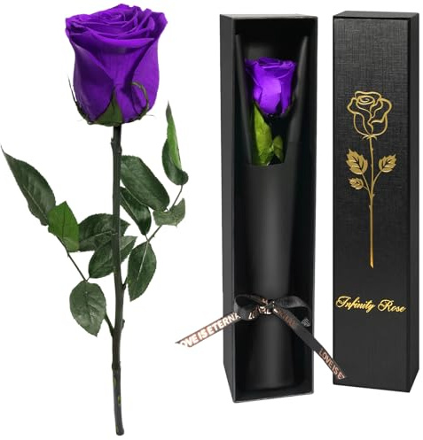Yamonic Rosa Eterna Regalos Mujer, Rosa Preservada con Tallo Regalo Cumpleaños Mujer, Flores Preservadas Regalos Mujer, Rosa Eterna Natural Preservada Regalo San Valentín (1-Violeta, 1)