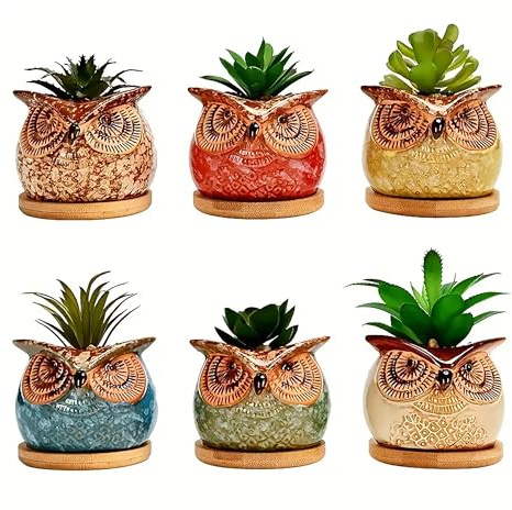IlGruppone Set 6 Pezzi Vasi In Ceramica Fiori Piante Grasse Gufi Con Sotto Vaso In Bambù Foro Centrale Cactus Decorazione Interno Esterno Casa Vasetto Con Foro Scarico Fioriera Contenitore - 3Civette