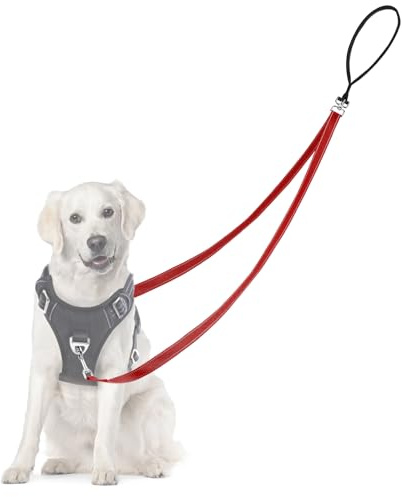 Adiwo 2M Guinzaglio per Cani, Riflettente, Lunghina Da Cane in Nylon, Guinzaglio Doppio Freestyle per Cani Di Piccola e Media Taglia, Cane Resistente e Anti-sporco（Rosso）
