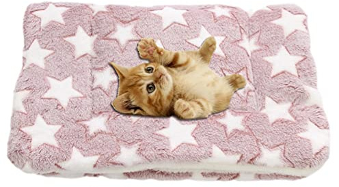 smashing Couverture apaisante pour Chat Confortable - Couverture de Chaton avec Motif Mignon d'empreinte de Patte | Couverture en Flanelle Super Douce pour Chien, Chiot, Chat, Convient à la Plupart