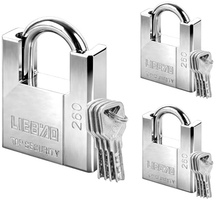 WENLISELL 3PCS Heavy Duty Padlocks with Keys Outdoor 60mm Security Padlocks | For Outside Use, Waterproof Container Padlocks, For Shed, Gate, Warehouse, Container, Garage