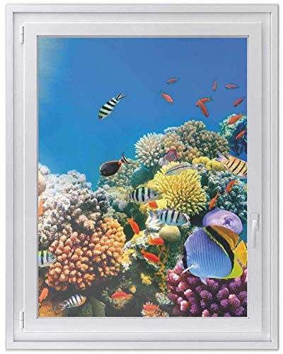 Fenster-Folie Sichtschutz I Folie für Fenster Deko - Fensterbild selbstklebend I Deko für Bad, Küche, Kinderzimmer - Farbecht, Robust - Made in Germany
