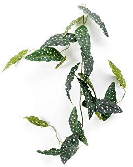 artplants.de Fake trout begonia garland JOELLE, green-white, 30cm - Hanging faux plant/Artificial Polka Dot Begonia