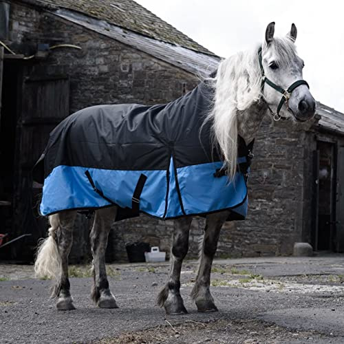 Equitack 1200D Winterdecke Pferd, 165cm | 100g Highneck Regendecke Pferd mit Fleece | wasserdichte Outdoordecke Pferd | Schwarz/Baby Blau