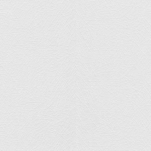 erismann Papier peint à peindre 11034-01 Papier peint intissé uni 1,06 x 25 m RollOver27 Blanc