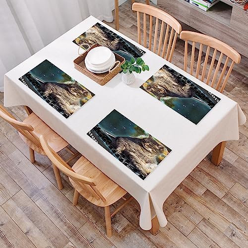 Platzset, Satz von 4 Platzsets,Katze DJ,Gewebte Vinyl-Tischsets, waschbare und langlebige Tischsets, Tischsets für den Innen- und Außenbereich
