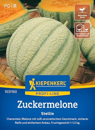 Kiepenkerl Zuckermelonensamen Stellio 1031160, Gemüsesaat | Süß- aromatisch, einfacher Anbau, für Beet, Freiland & Gewächshaus