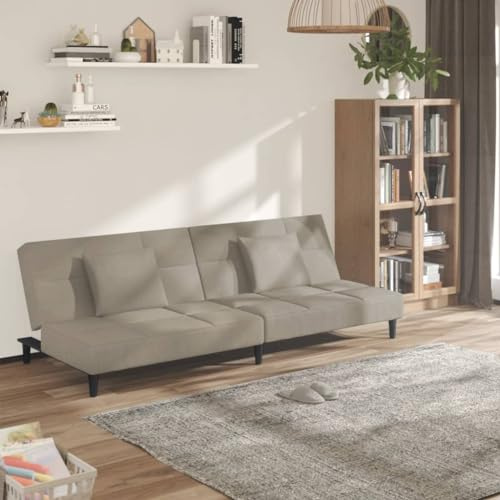 Frdhee Sofa Für Wohnzimmer Couchgarnitur,Schlafsofa 2 Sitzer mit 2 Kissen Hellgrau Samt,Für Wohnzimmer Schlafzimmer Wohnung Büro