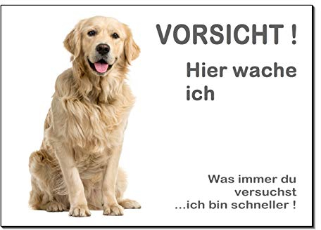Golden Retriever-Hier wache ich- Hund-Schild-Hundeschild-300 x 200 x 3 mm-Aluminium-Tierschild-Warnschild-Hinweisschild (1451-114 =300 x 200 mm mit Löcher)