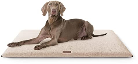 Knuffelwuff kuschelige Hundematte Calliope aus Teddy Material 120x80cm Beige - Hundekissen für große, mittelgroße und kleine Hunde - Für Zuhause, Auto, Wohnmobil, Wohnwagen