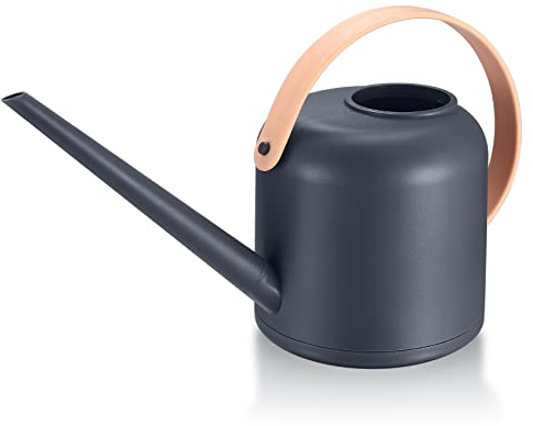 Indoor Watering Can for Houseplants, Small Long Spout Flower Watering Can, 50 oz, 1/2 Gallon (1.7 L) for Potted Plants, Outdoor Plants, Herb Garden, Flowers & Succulents (Blue)