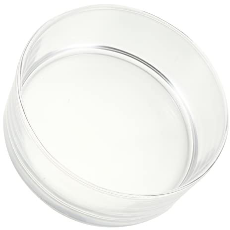 FUNOMOCYA Glas Blumentopf Hydrokultur Pflanzgefäß Transparent Rund ø 20cm Wasserpflanzen Hydrokulturgefäß Für Schreibtisch Dekoration