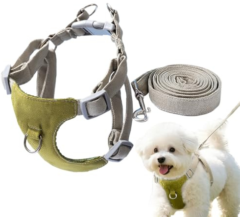 Imbracatura per cani – Imbracatura anti-tiraggio con guinzaglio – Gilet Oxford traspirante per cani, regolabili per piccole razze medie e grandi passeggiate all'aperto