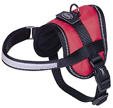 Nobby Geschirr Seguro Mini, schwarz Bauch: 31-40 cm, B: 15 mm, 1 Stück
