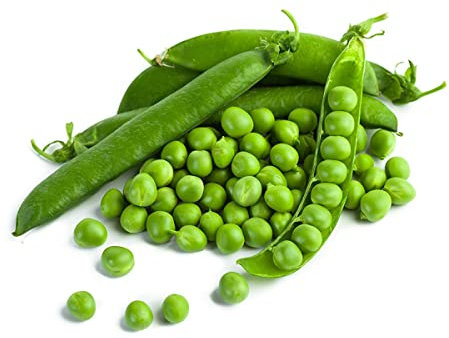gondian - Graines de Pois Nain Merveille de Kelvedon à grain ridé - sac de 5 kgs