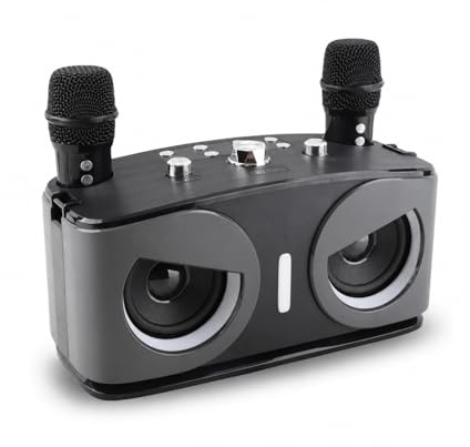 Dilwe Máquina de Karaoke, Altavoz Bluetooth Portátil con 2 Micrófonos Inalámbricos Efectos de Luz RGB para Fiesta en Casa Al Aire Libre (Gray)