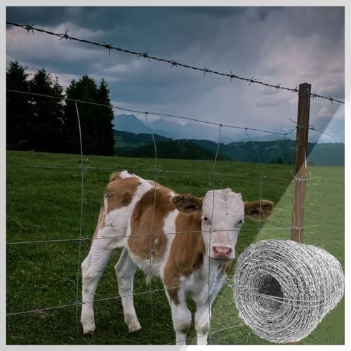YSXXIAN 4 Point Barbed Wire, Barbed Wire Fence for Crafts, Fences, Garden, Chain Link Fence(20m)