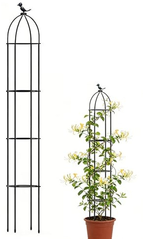 Enrejado para Plantas en Maceta – Estructura Decorativa antioxidante – Soportes para Plantas de Interior, para Exterior, Interior, jardín, Patio, Rosa, Clematis y Verduras