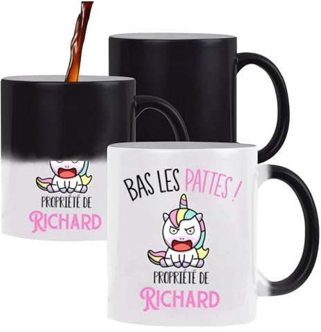 Planetee Mug magique thermoréactif Richard Bas les pattes Lion | Tasse qui change de couleur thermoréactif Cadeau Anniversaire Noël Humour fête des pères